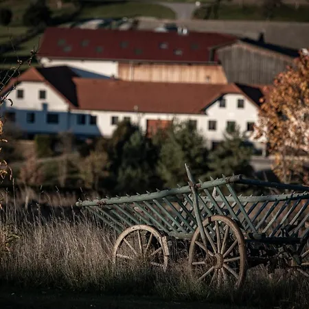 Hotel Faulenzerhotel