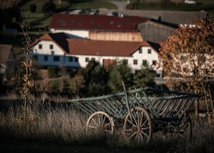 Hotel Faulenzerhotel