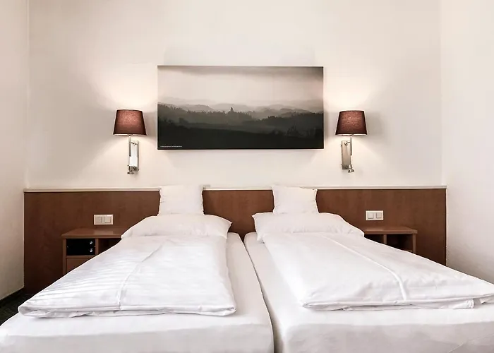 Faulenzerhotel Hotel Friedersbach